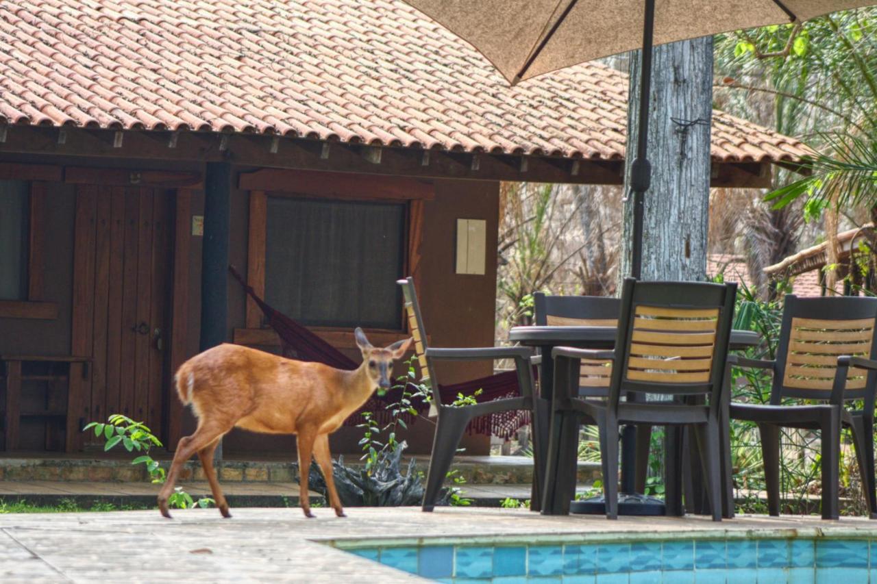 Aymara Lodge Poconé Exteriér fotografie